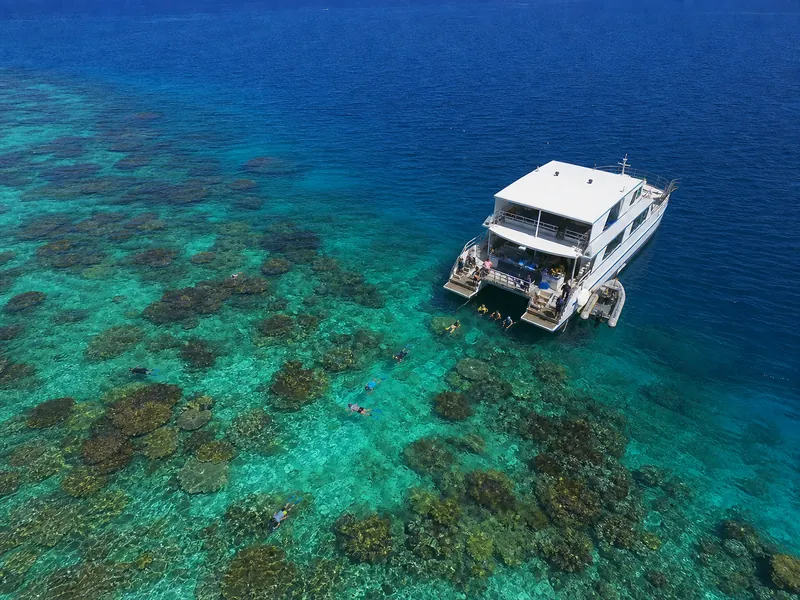 Cairns: Outer Great Barrier Reef Full-Day Tour with Lunch